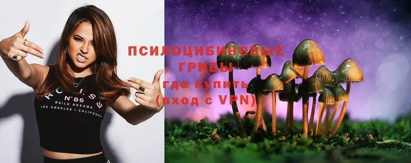 Галлюциногенные грибы Magic Shrooms  Верея 